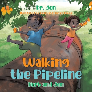 Couverture_Walking the Pipeline