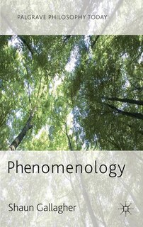 Front cover_Phenomenology