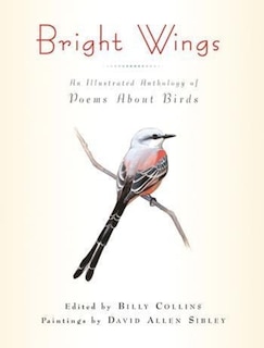 Front cover_Bright Wings