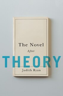 Front cover_The Novel After Theory