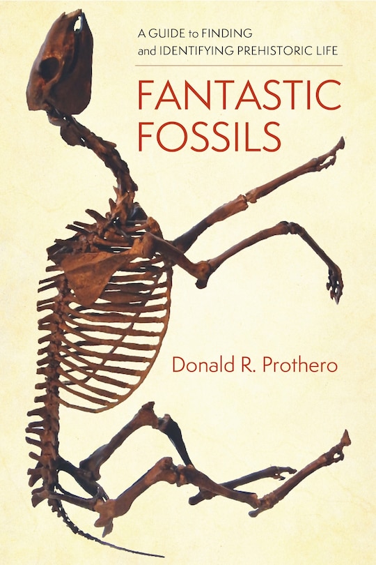 Front cover_Fantastic Fossils