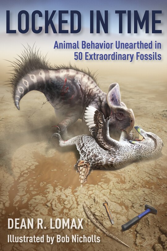 Locked In Time: Animal Behavior Unearthed In 50 Extraordinary Fossils