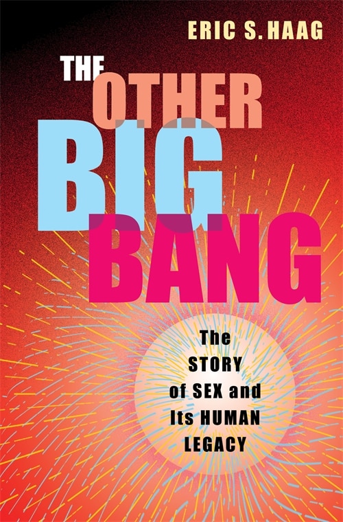 Front cover_The Other Big Bang