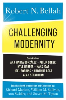 Front cover_Challenging Modernity