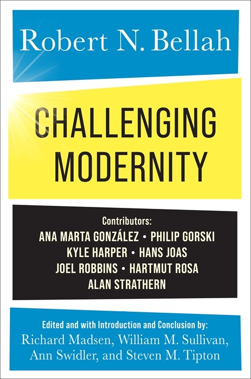 Front cover_Challenging Modernity