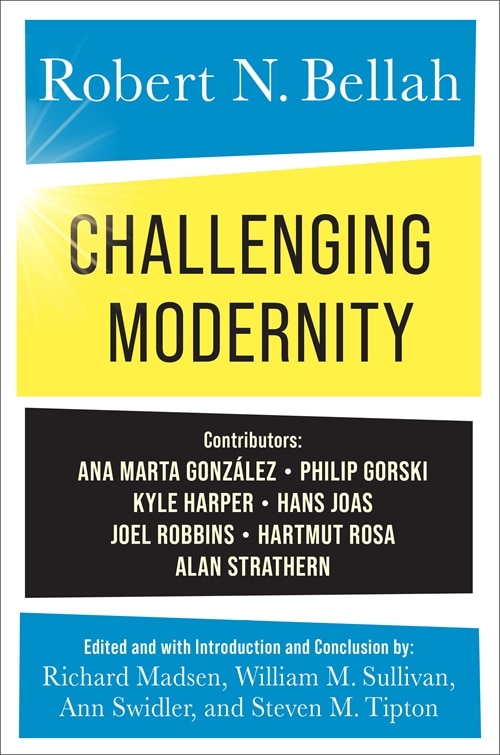 Front cover_Challenging Modernity