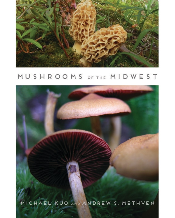 Couverture_Mushrooms of the Midwest