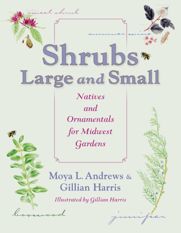 Couverture_Shrubs Large And Small