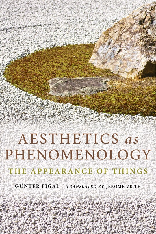 Couverture_Aesthetics As Phenomenology