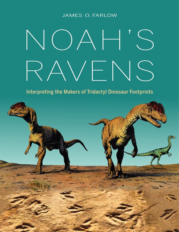 Couverture_Noah's Ravens