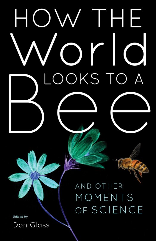 Couverture_How The World Looks To A Bee