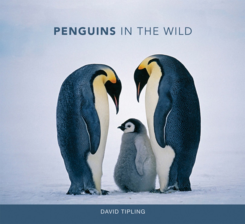 Couverture_Penguins In The Wild