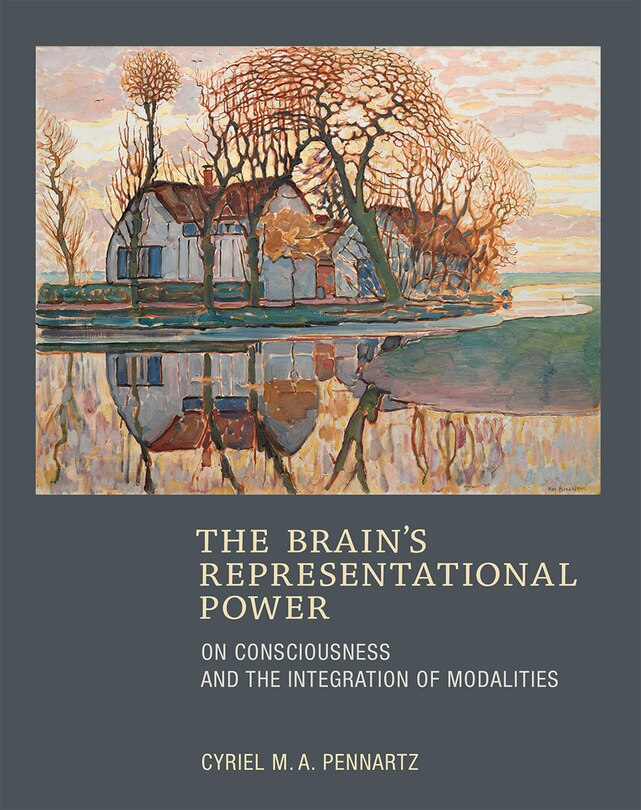 Front cover_The Brain's Representational Power