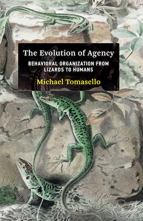 The Evolution Of Agency: Behavioral Organization From Lizards To Humans