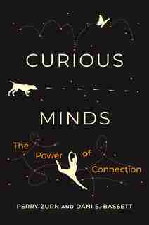 Curious Minds: The Power Of Connection by Perry Zurn