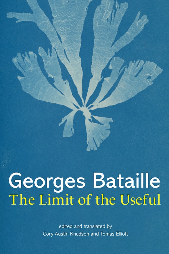 Couverture_The Limit Of The Useful