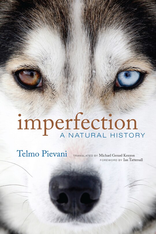 Front cover_Imperfection