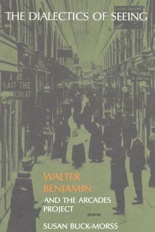 The Dialectics of Seeing: Walter Benjamin and the Arcades Project