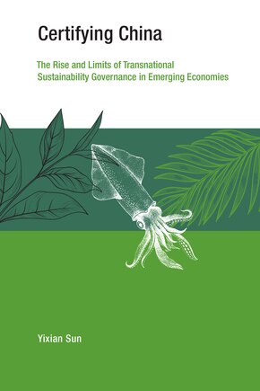 Certifying China: The Rise And Limits Of Transnational Sustainability Governance In Emerging Economies