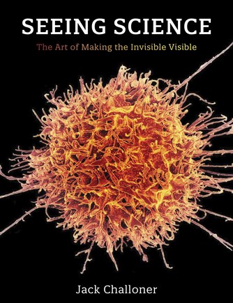 Seeing Science: The Art Of Making The Invisible Visible