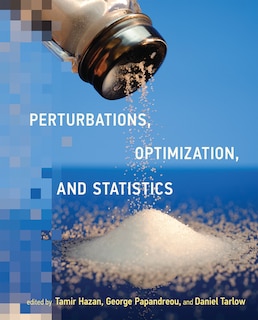 Front cover_Perturbations, Optimization, and Statistics
