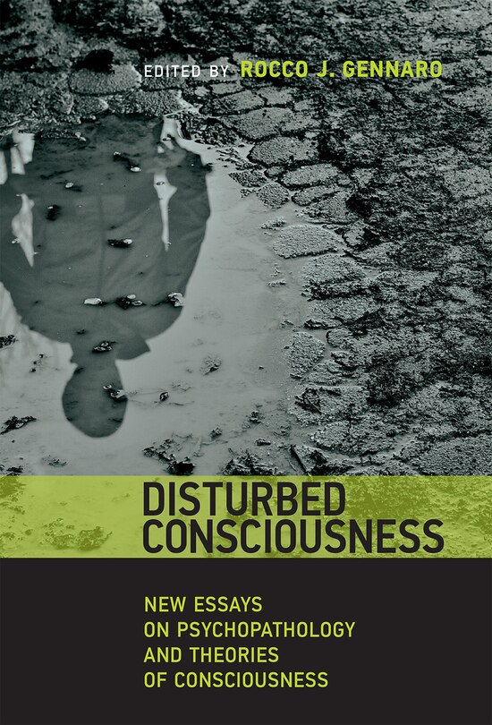 Front cover_Disturbed Consciousness