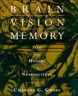 Front cover_Brain, Vision, Memory
