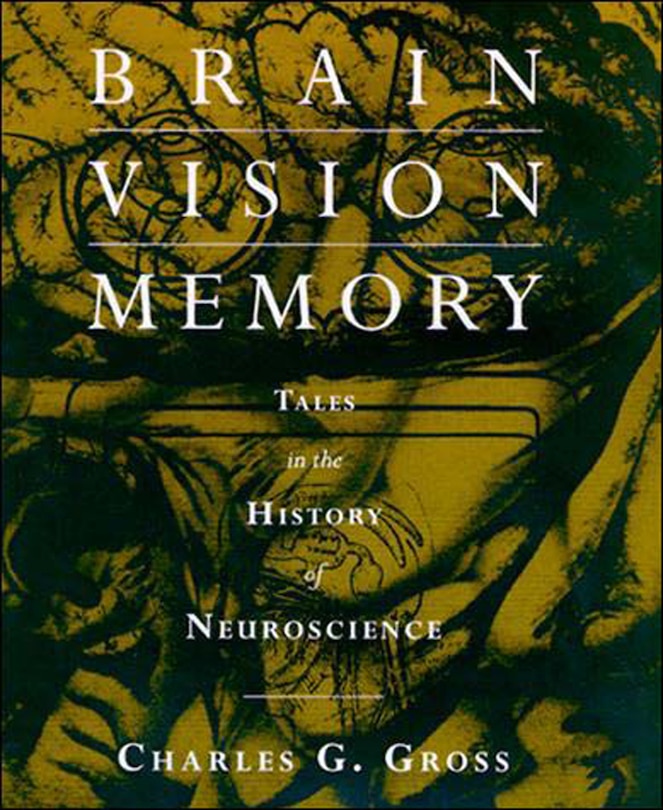 Front cover_Brain, Vision, Memory