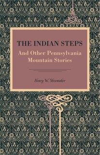 Front cover_The Indian Steps