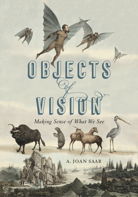 Couverture_Objects Of Vision