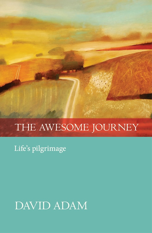 Couverture_The Awesome Journey