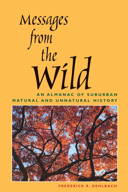 Front cover_Messages from the Wild