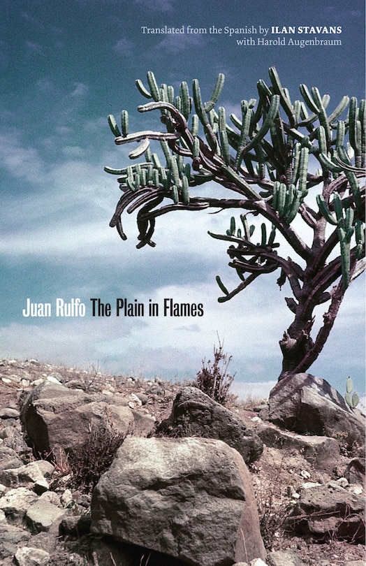 Couverture_The Plain in Flames