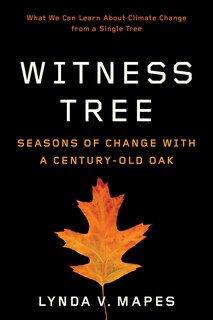 Front cover_Witness Tree