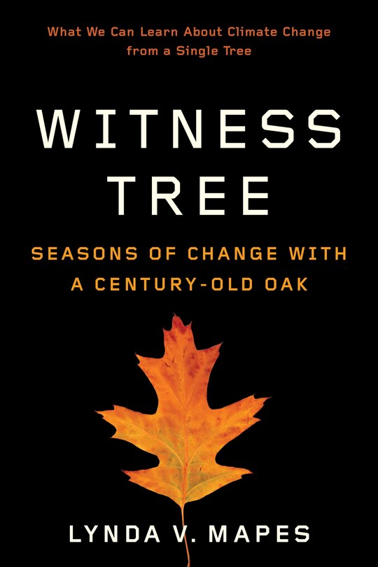 Front cover_Witness Tree