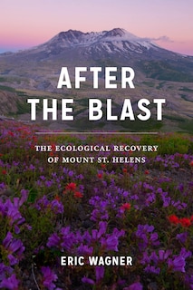 Couverture_After The Blast