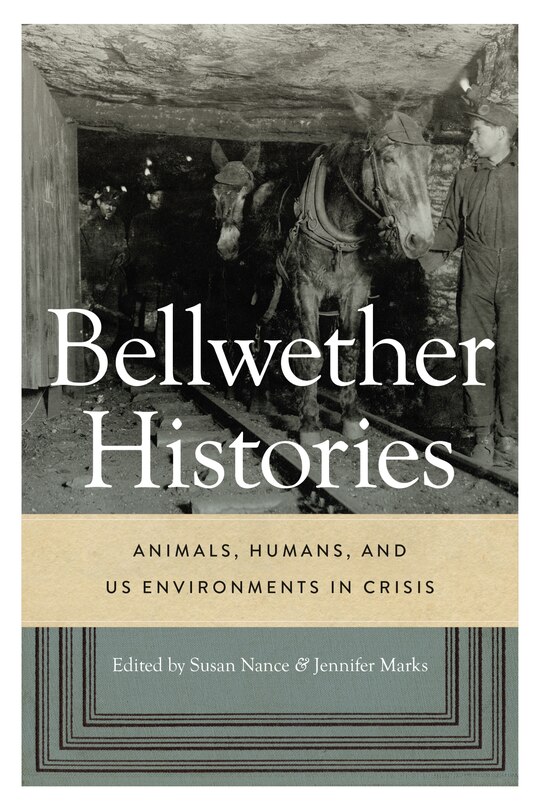 Front cover_Bellwether Histories