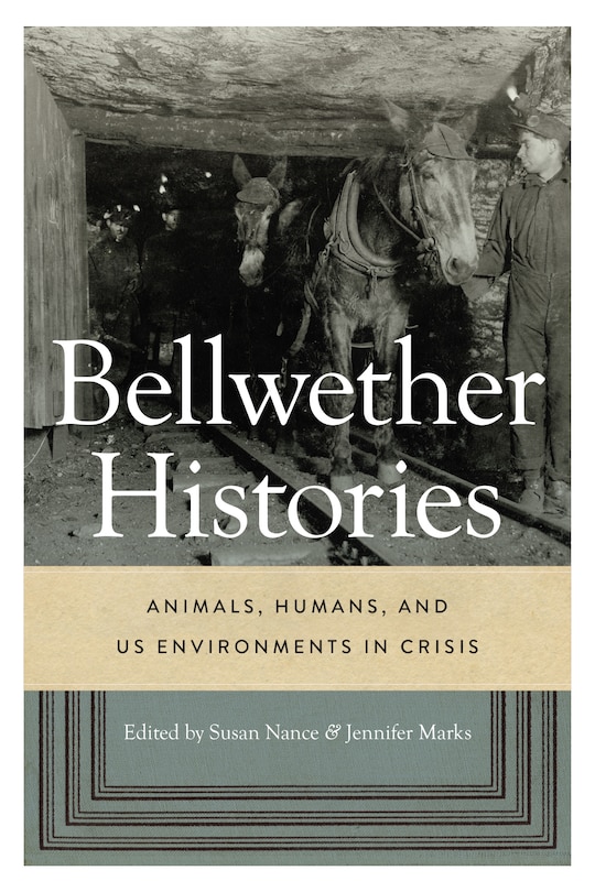 Front cover_Bellwether Histories