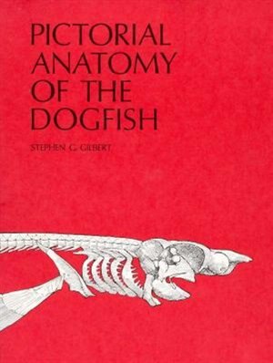 Front cover_Pictorial Anatomy Of The Dogfish