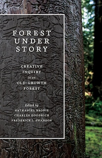 Front cover_Forest Under Story