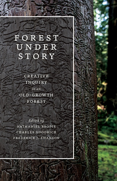 Front cover_Forest Under Story