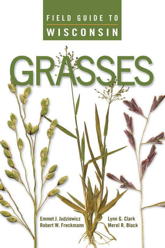 Couverture_Field Guide To Wisconsin Grasses