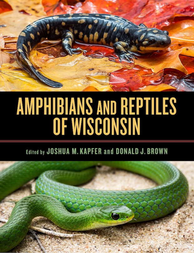 Front cover_Amphibians And Reptiles Of Wisconsin