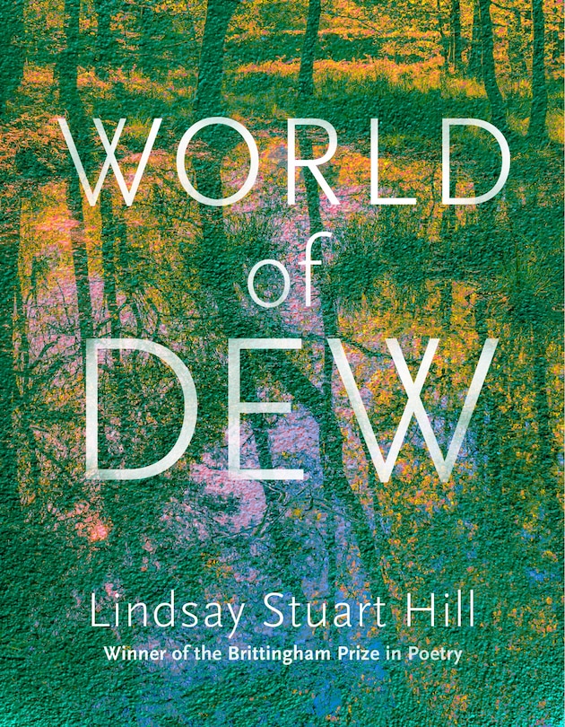 Couverture_World of Dew