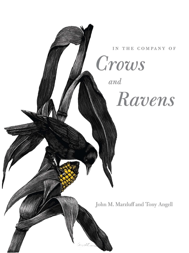 Front cover_In The Company Of Crows And Ravens