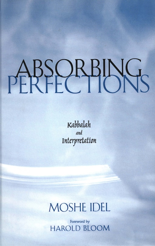 Front cover_Absorbing Perfections