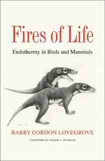 Fires Of Life: Endothermy In Birds And Mammals by Barry Gordon Lovegrove