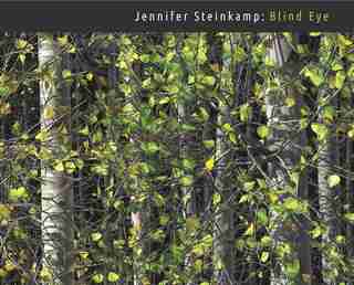 Jennifer Steinkamp: Blind Eye by Lisa Clark Art Institute