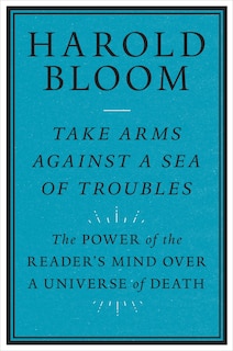 Couverture_Take Arms Against a Sea of Troubles