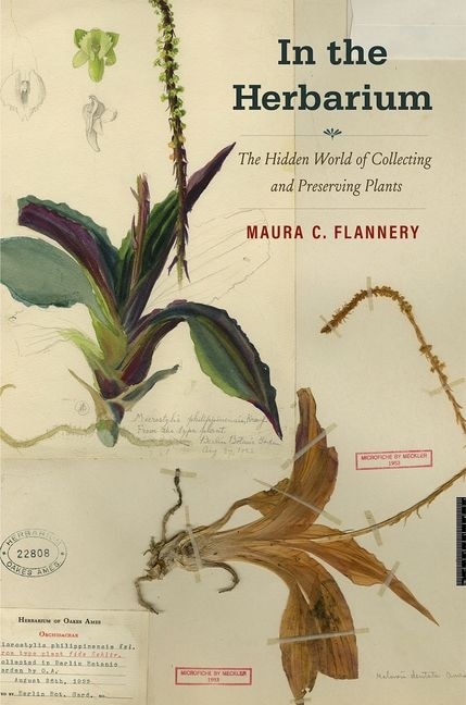 Couverture_In the Herbarium